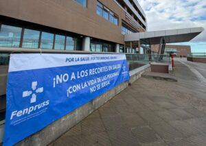 Fenpruss exige la creación de una red de atención de salud mental en Magallanes