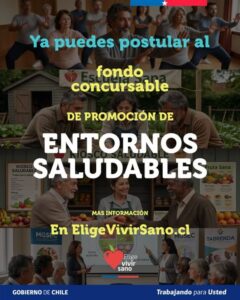 Elige Vivir Sano financiará proyectos de vida saludable en San Gregorio y Natales