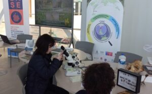 Investigan influenza aviar desde Puerto Williams: CHIC mantiene monitoreo científico continuo en el Canal Beagle