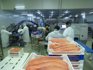 Acuerdo Comercial con Trinidad y Tobago abrirá mercado con arancel cero para el salmón magallánico