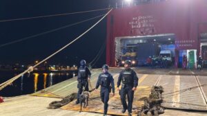 Operativo conjunto entre la Autoridad Marítima, PDI, Aduanas y Carabineros fiscaliza ferry en Puerto Natales