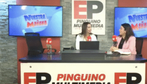 Delegada Presidencial Ericka Farías aborda desafíos de seguridad, infraestructura y reactivación económica