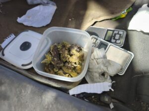 Detienen a sujeto con marihuana y balanzas digitales en control vehicular en Punta Arenas