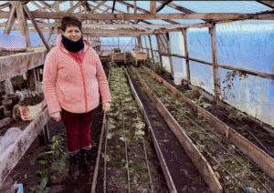 Indap distinguió en Porvenir la trayectoria de la agricultora Dulserina Vidal