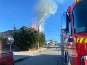 Unidad de Bomberos combate incendio en árbol en intersección de Oscar Viel con Armando Sanhueza