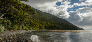 Rewilding Chile e instituciones avanzan en creación del Parque Nacional Cabo Froward