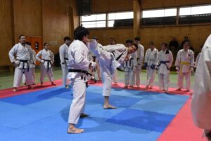 Sensei Julio Silva dicta seminario técnico de karate JKA para dojos de Punta Arenas y Puerto Natales