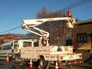 Edelmag refuerza plan preventivo de poda de árboles para evitar cortes de luz en Magallanes