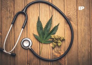 Diputadas de la bancada republicana presentan proyecto para limitar el cultivo de cannabis medicinal