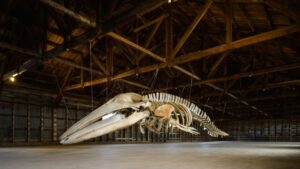 Magallanes en 100 Palabras: Museo de Historia Natural de Río Seco será escenario de recorrido patrimonial y taller de escritura
