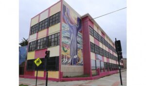 Salud fiscalizará a Liceo Sara Braun tras alerta de presencia de roedores