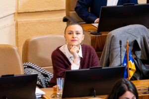 Diputada Javiera Morales exige precisiones sobre soberanía en el Estrecho e infraestructura crítica en Magallanes