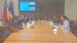 Comisión de Zonas Extremas de la Cámara aborda demandas de infraestructura con alcaldes de Magallanes
