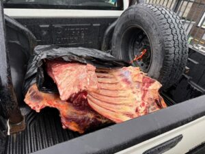 Decomisan 120 kilos de carne en carnicería de Punta Arenas y detienen a encargada por faenamiento clandestino