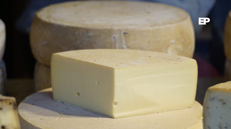 Minsal emite alerta alimentaria por presencia de listeria en queso mantecoso laminado de marca Matthei