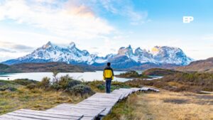 Encuesta Cadem ubica al turismo como la industria mejor evaluada de Magallanes con un 90% de percepción positiva