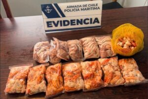 Decomisan centolla y pulpo en el Estrecho de Magallanes tras operativo en ferry
