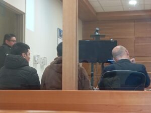 Punta Arenas: Denuncia de auxilio en la vía pública permitió descubrir un cultivo indoor de marihuana