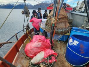 Sernapesca e Inmar incautan 4,5 kilómetros de redes ilegalmente usadas para la pesca de centolla en Punta Arenas