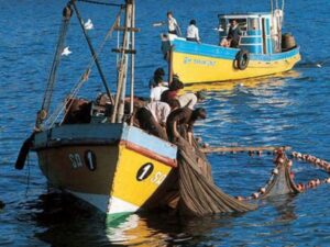 Desembarque de la pesca industrial en Magallanes cayó un 71,6% en junio impulsado por la ausencia de krill