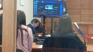 Formalizan a comerciante en Punta Arenas por faenamiento clandestino e infracción a la Ley de Mataderos