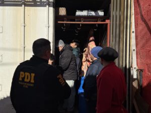 Fiscalización a carnicerías de Punta Arenas deja 64 kilos de carne decomisada en operativo contra el abigeato