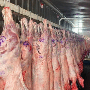 Autoridades despliegan plan de fiscalización en Magallanes por Fiestas Patrias con foco en carnes y alcoholes