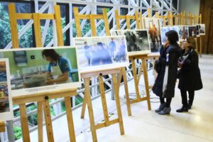 Inauguran exposición fotográfica que destaca los Centros de Rehabilitación en Magallanes