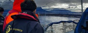 Sernapesca activa plan de contingencia por floración algal nociva y mortalidad masiva de salmones en Magallanes