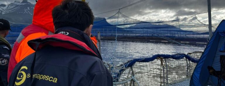 Sernapesca activa plan de contingencia por floración algal nociva y mortalidad masiva de salmones en Magallanes