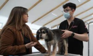 Municipalidad de Primavera inicia rondas rurales de Tenencia Responsable de Mascotas en Tierra del Fuego