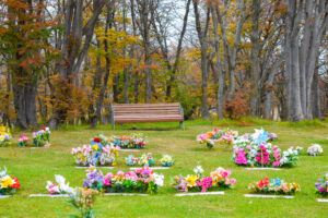 Parque Punta Arenas afina preparativos para el Día de Todos los Santos: liturgia bajo el bosque de lengas y Árbol de la Memoria