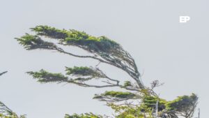Senapred declara Alerta Temprana Preventiva en Magallanes por tormentas eléctricas y vientos de 100 km/h