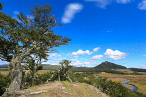 Sernatur Magallanes proyecta prometedora temporada turística impulsada por la diversificación de destinos