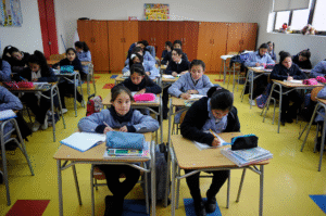Cayeron un 34% las denuncias en la Superintendencia de Educación en Magallanes durante el primer semestre