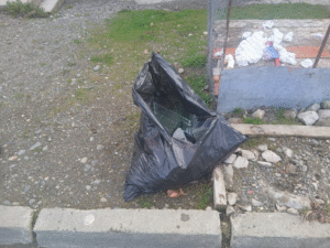 Carabineros detiene a pareja por delito de abigeato en estancia de Torres del Paine
