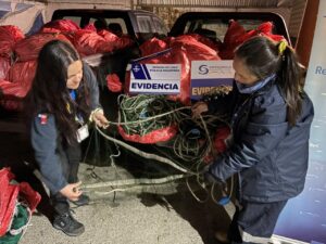 Sernapesca y la Armada incautan 99 sacos con redes centolleras ilegales en Barranco Amarillo