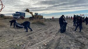 Armada y Municipio de Punta Arenas despliegan operativo de limpieza en el borde costero tras el temporal