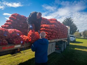 INIA y Gobierno Regional entregan 90 toneladas de papa semilla a productores de Punta Arenas y Magallanes