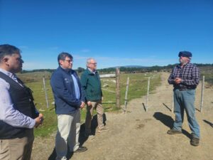 Jaurías de perros amenazan con extinguir la tradición lechera en Magallanes tras graves ataques en granja de Punta Arenas