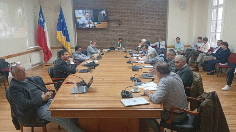 CORE aprueba por unanimidad interpelar a Flies por proyectos e irregularidades en Puerto Edén