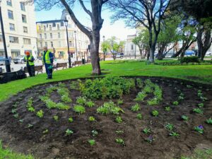 Punta Arenas inicia plan de áreas verdes: plantarán 20 mil flores y adelantan corte de pasto en bandejones