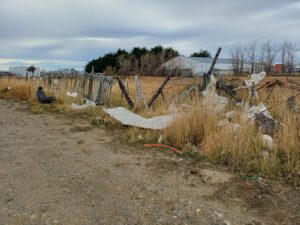 Vecinos de Los Flamencos denuncian foco insalubre y de inseguridad en terreno abandonado en Punta Arenas